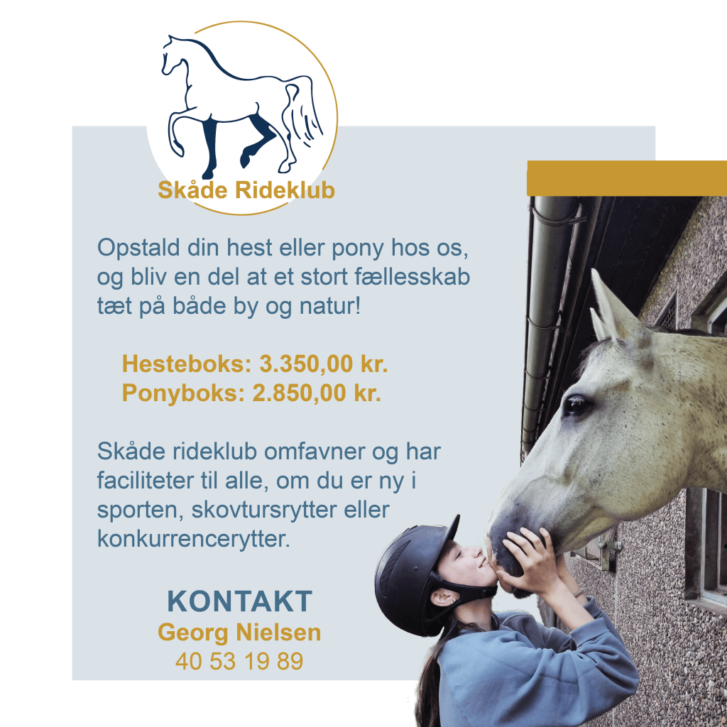 boks til hest eller pony