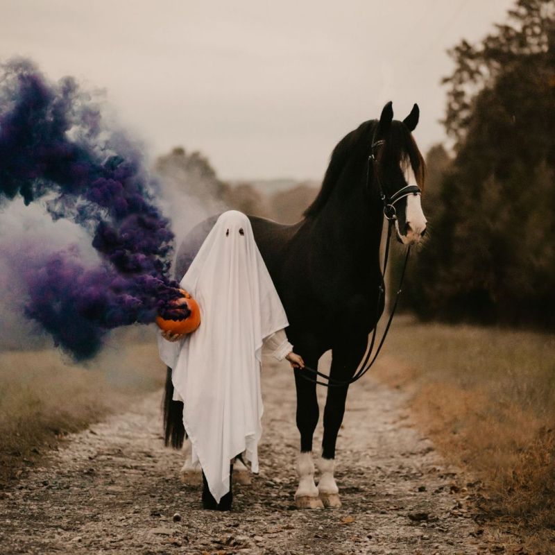 Halloween Stævne! – D. 05. november&nbsp;2023