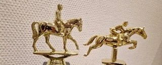 Indmelding til Skåde Rideklub&nbsp;Rangliste