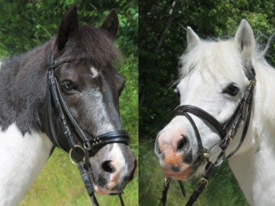 Held og lykke fremover til Felix og&nbsp;Melody