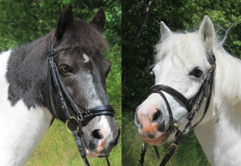 Held og lykke fremover til Felix og Melody